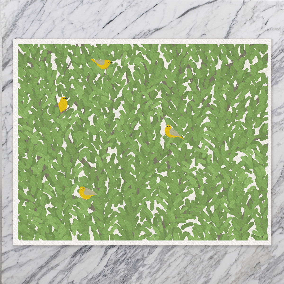Warblers Signed Art Print - 141002