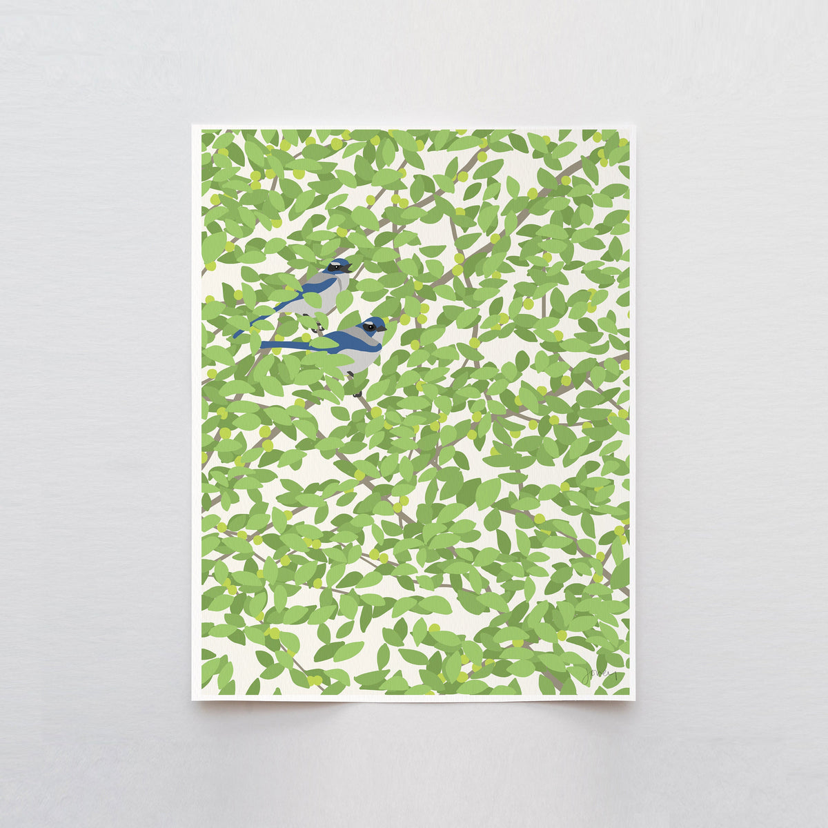 Pair of Blue Jays Signed Art Print - 140501