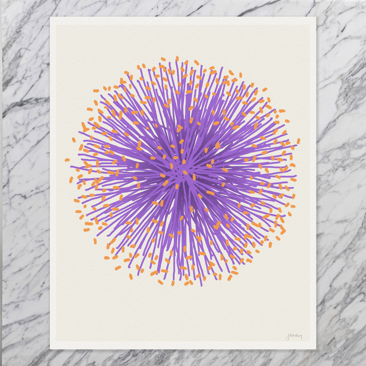 Mimosa Flower Signed Art Print - 110705