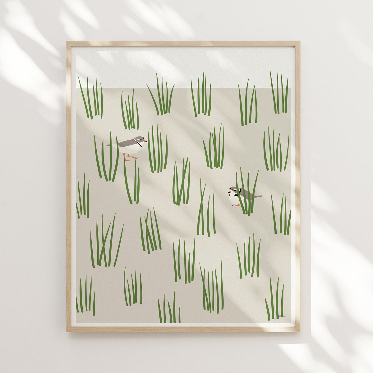 Plovers Signed Art Print - 230617