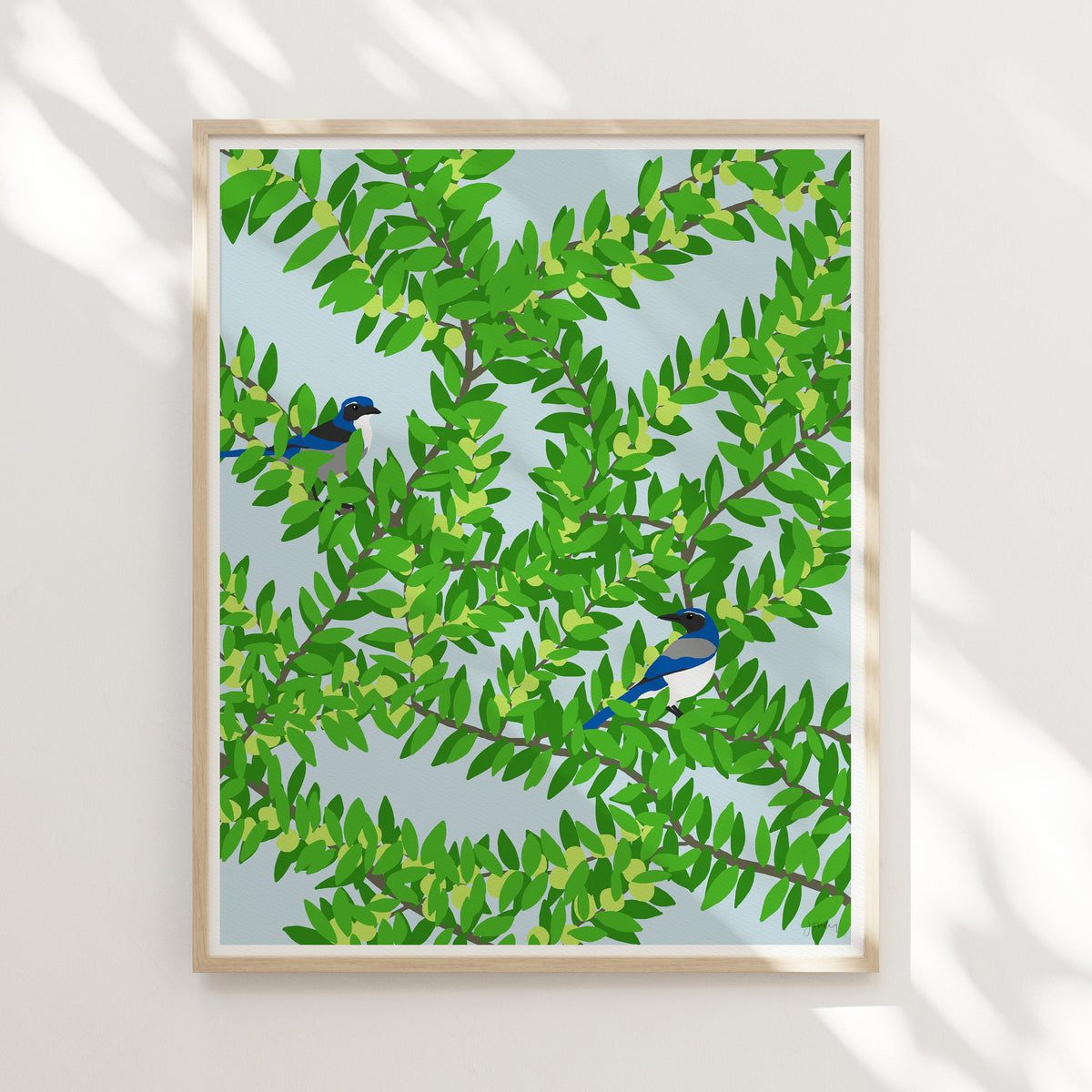 Plum Tree with Blue Jays in a Signed Art Print - 120626