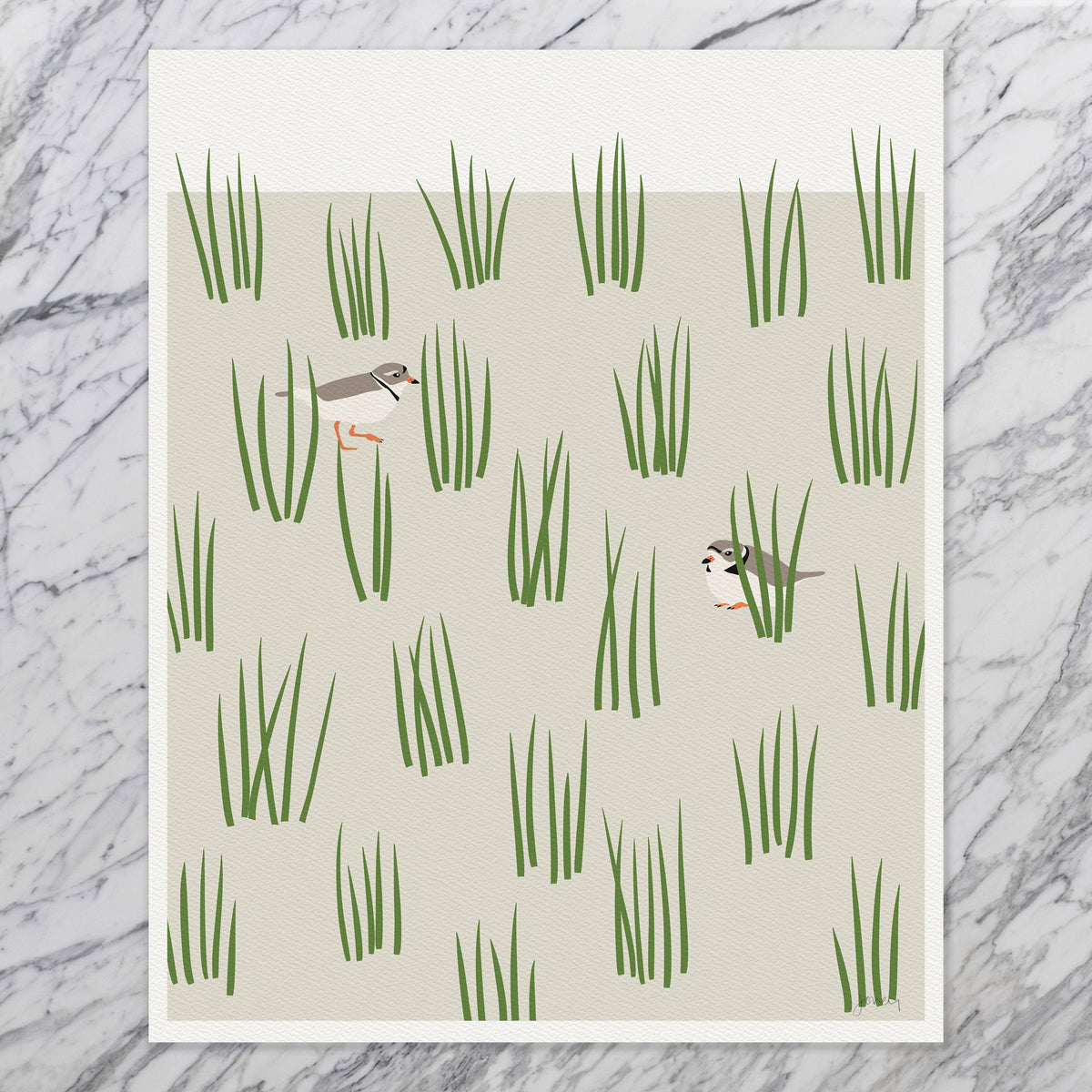 Plovers Signed Art Print - 230617