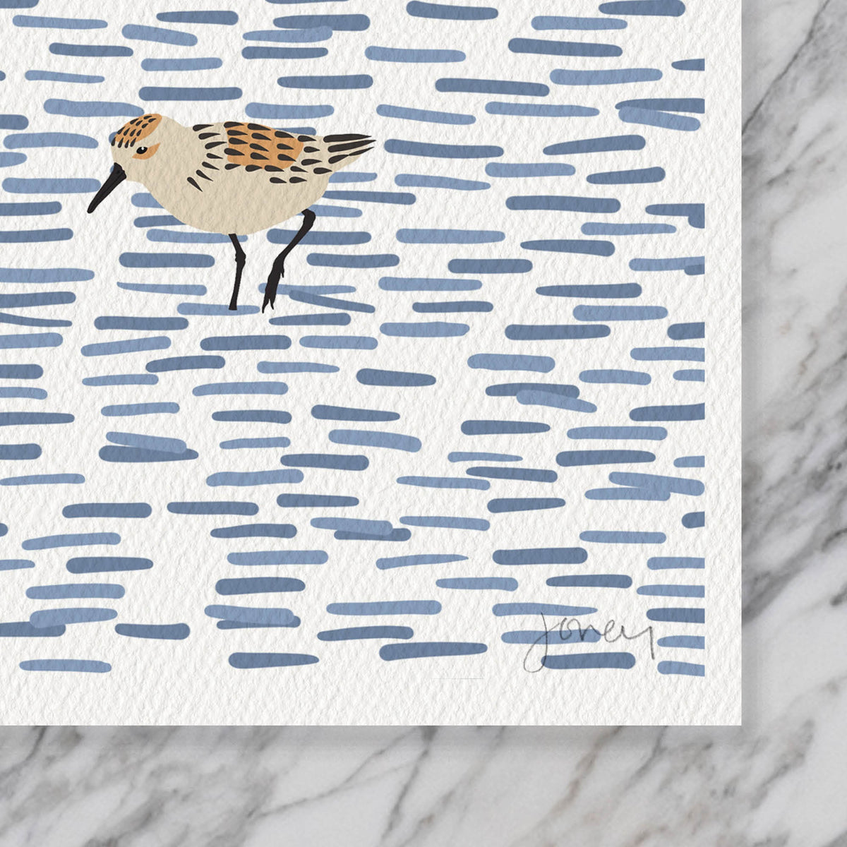 Shorebirds Signed Art Print - 220322