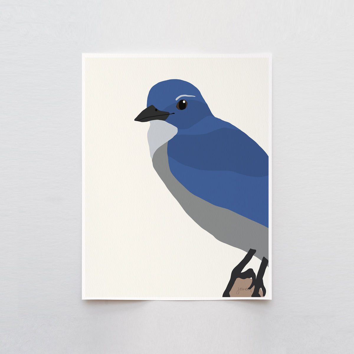 Scrub Jay Signed Art Print - 140910