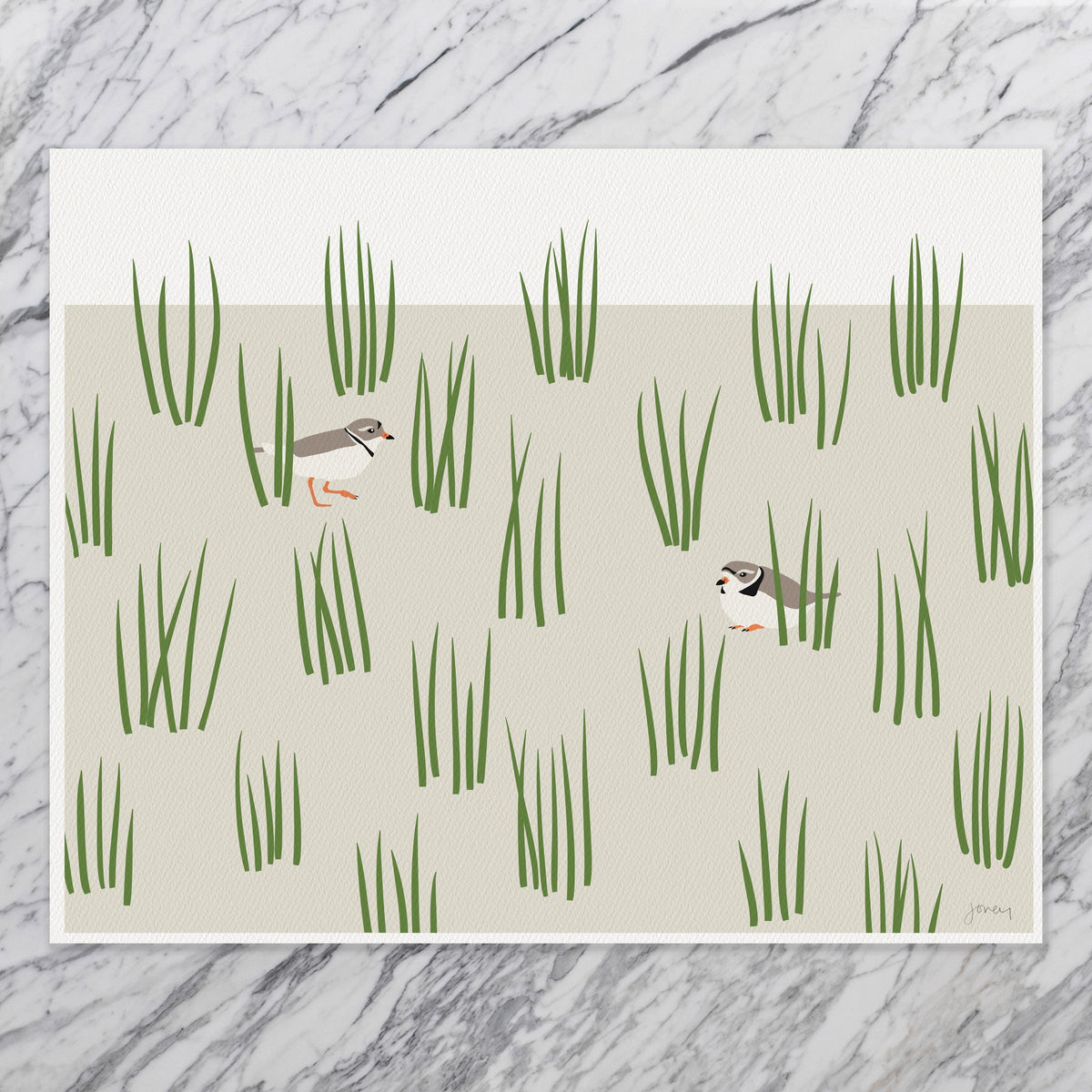 Plovers in Grass Dunes Signed Art Print - 250124