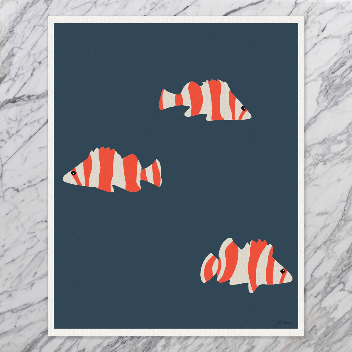 Red Banded Rockfish Signed Art Print - 130114