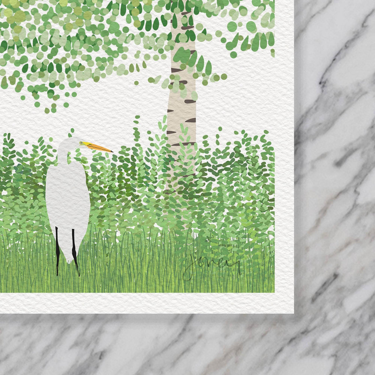 Egret in Marsh Signed Art Print - 250215