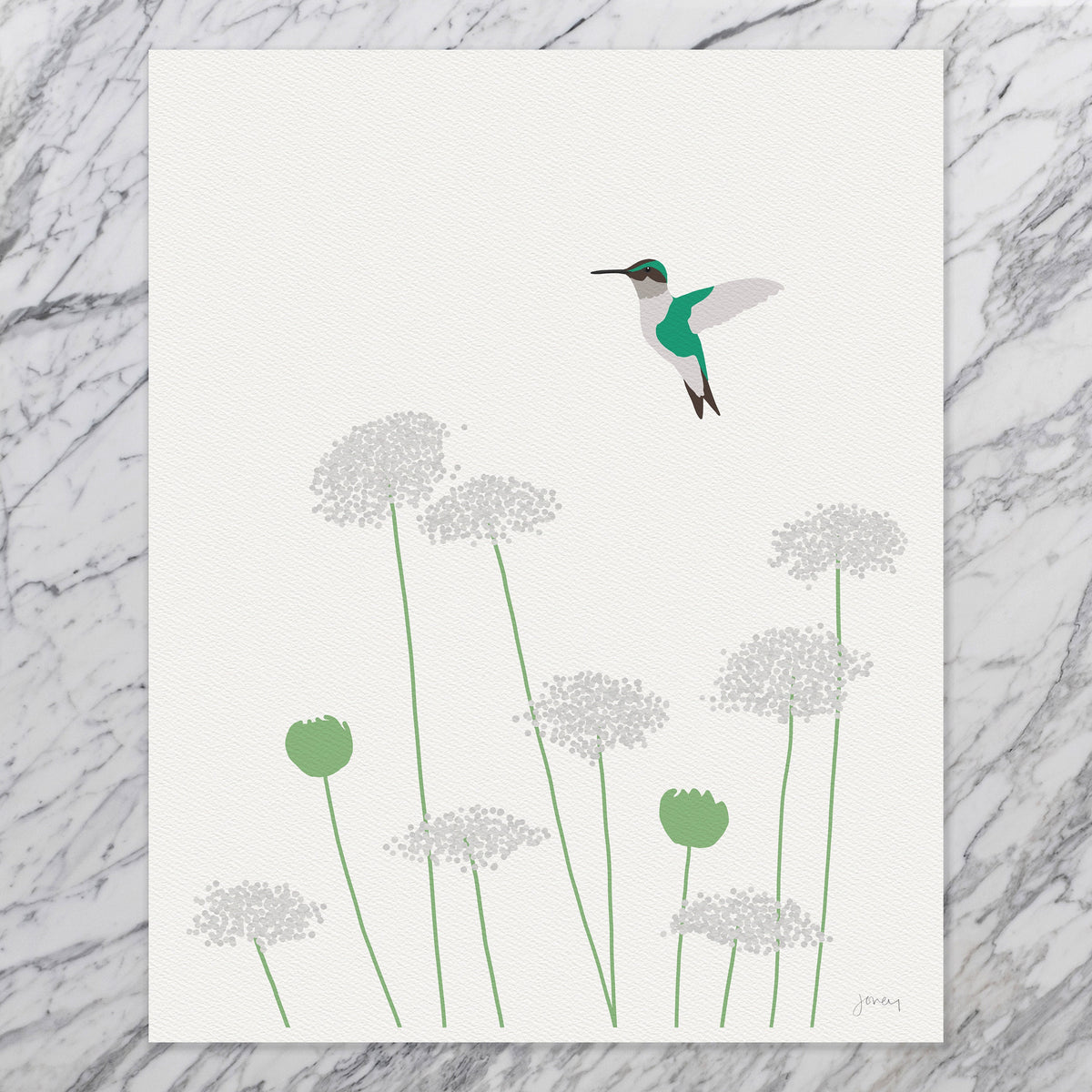 Hummingbird Signed Art Print - 140325