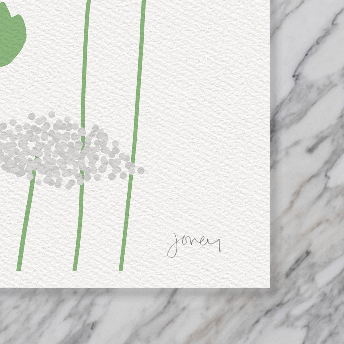 Hummingbird Signed Art Print - 140325