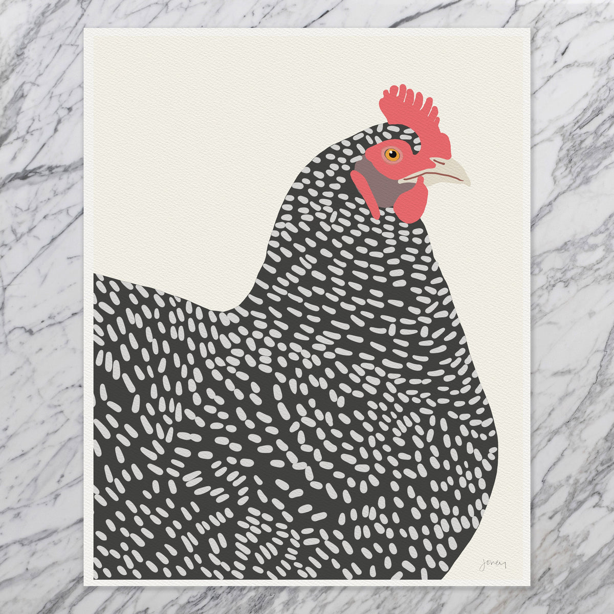 Plymouth Rock Chicken Signed Art Print - 130109A