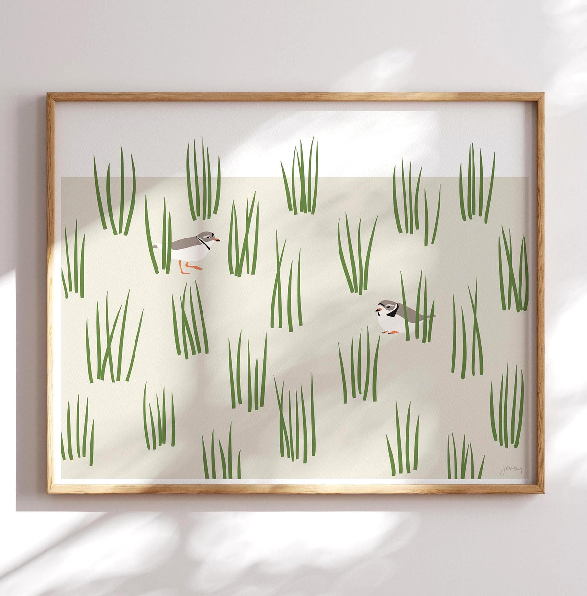 Plovers in Grass Dunes Signed Art Print - 250124