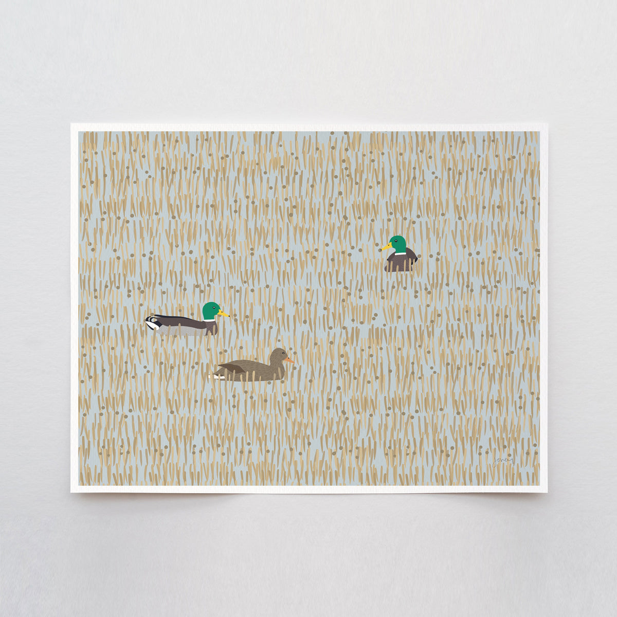 Mallards in Wetlands Signed Art Print - 231126