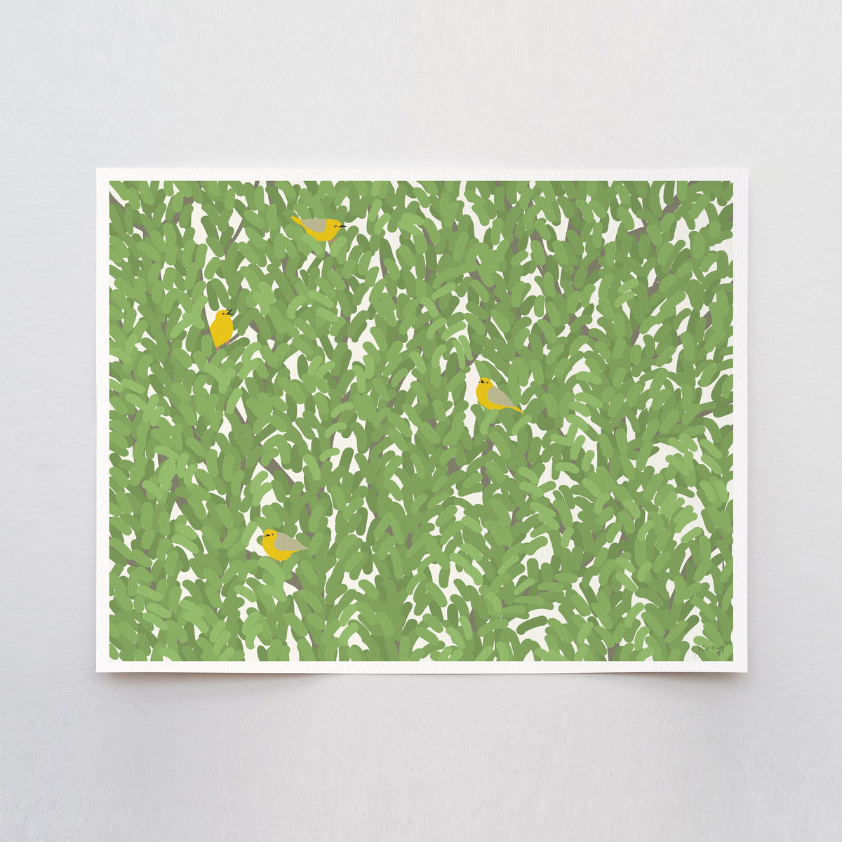 Warblers Signed Art Print - 141002