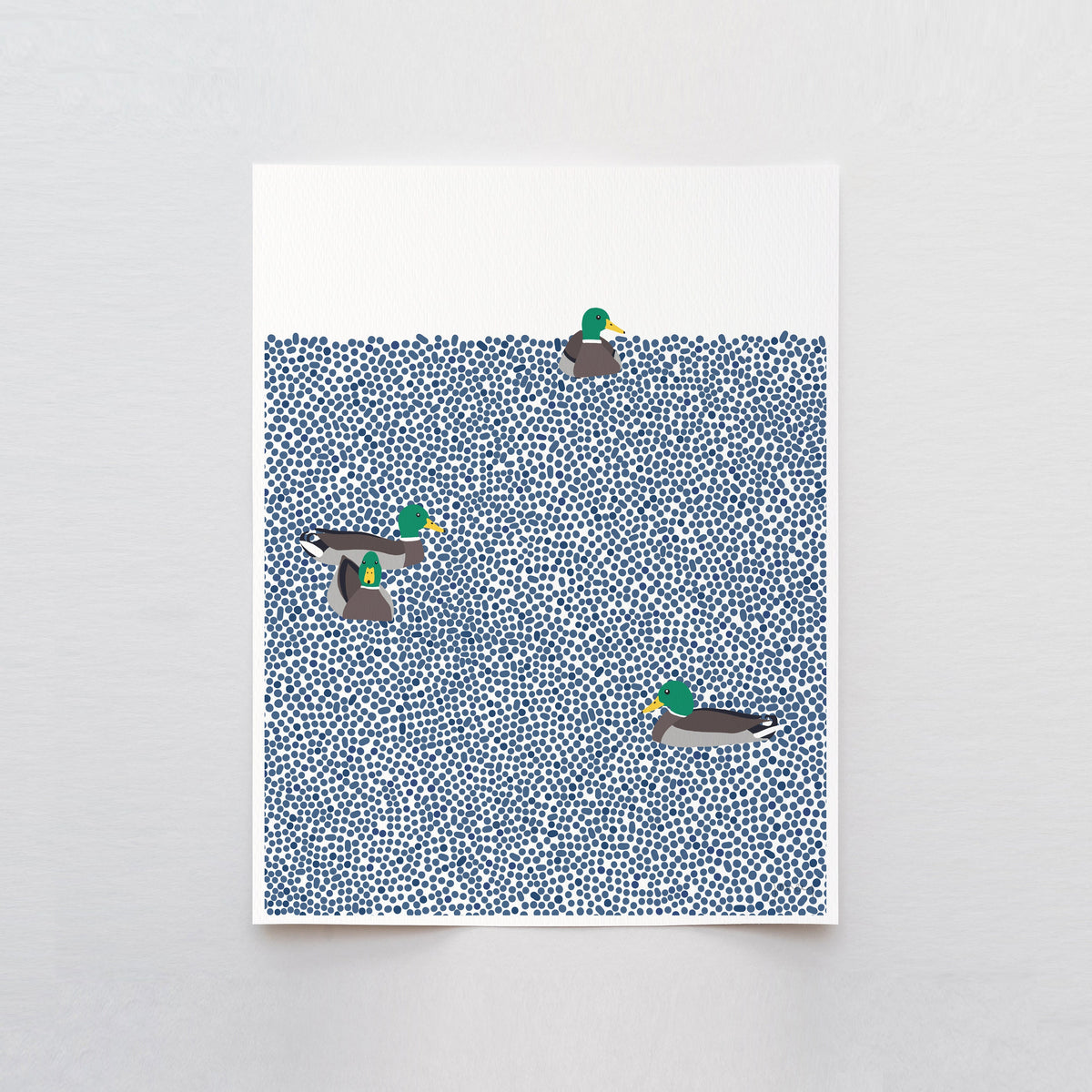 Mallards Swimming Signed Art Print - 231001