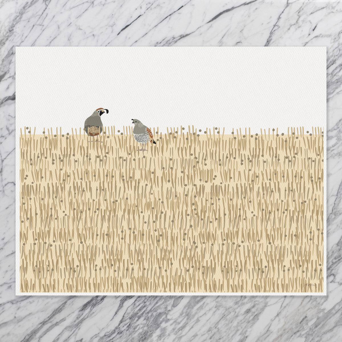 California Quail Signed Art Print - 250115