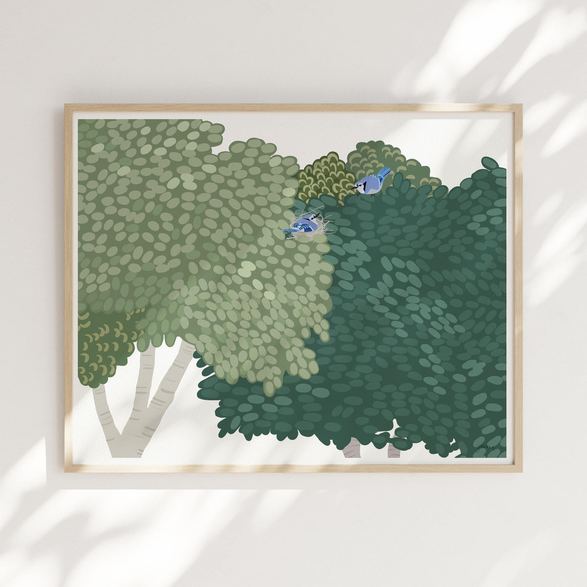 Blue Jays Nesting Signed Art Print - 250108