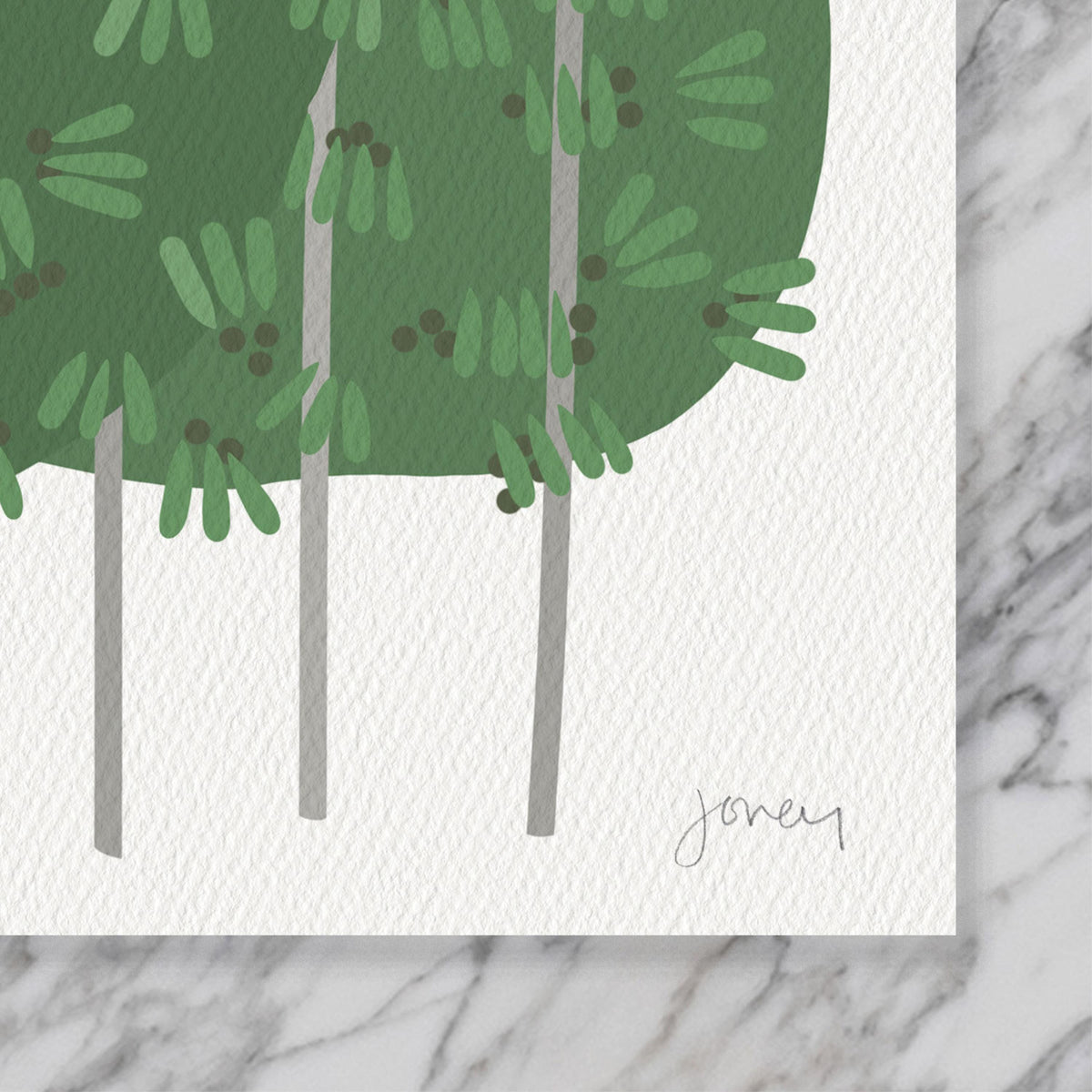 Garden Blue Jays Signed Art Print - 250420
