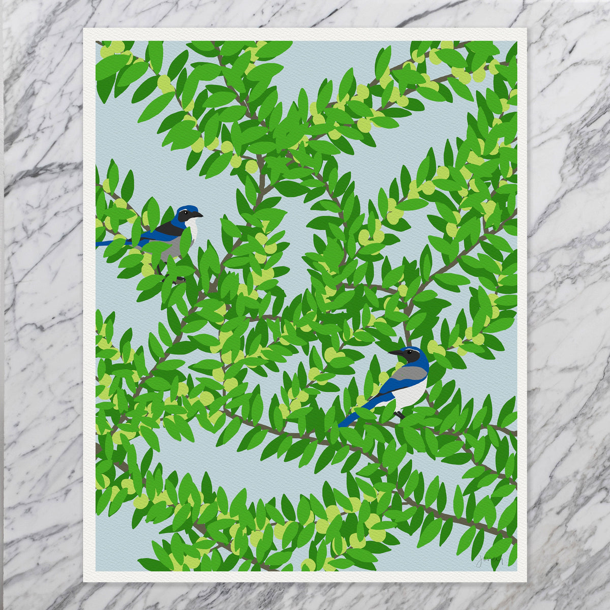 Plum Tree with Blue Jays in a Signed Art Print - 120626