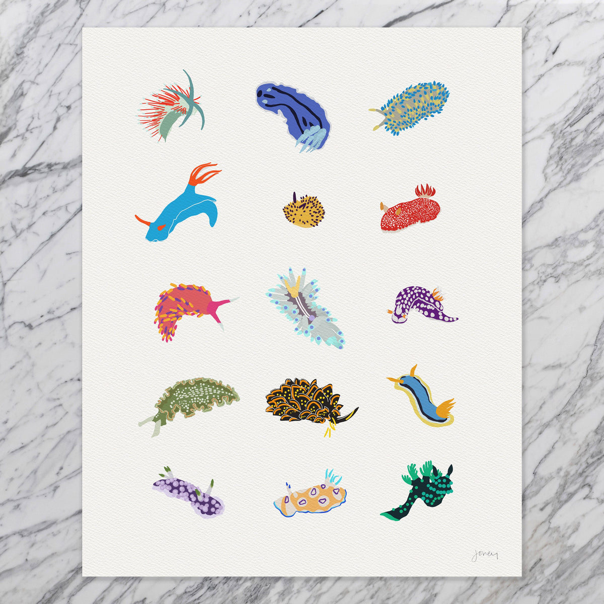 Nudibranch Sea Slugs Signed Art Print - 240302
