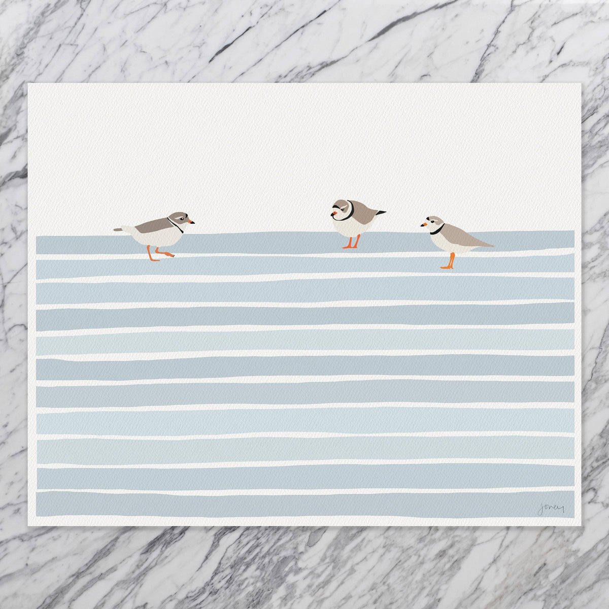 Piping Plovers Signed Art Print - 250608