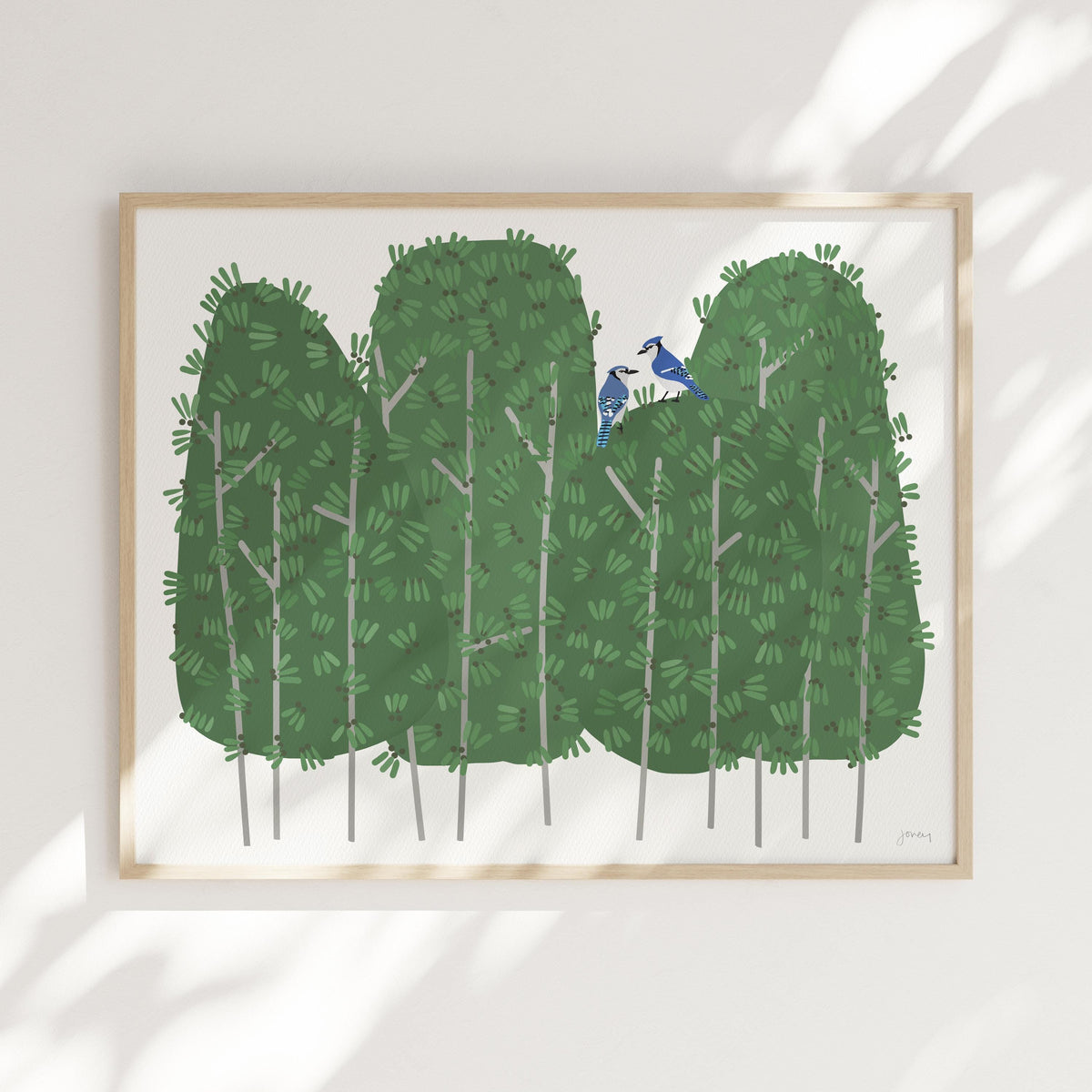 Garden Blue Jays Signed Art Print - 250420