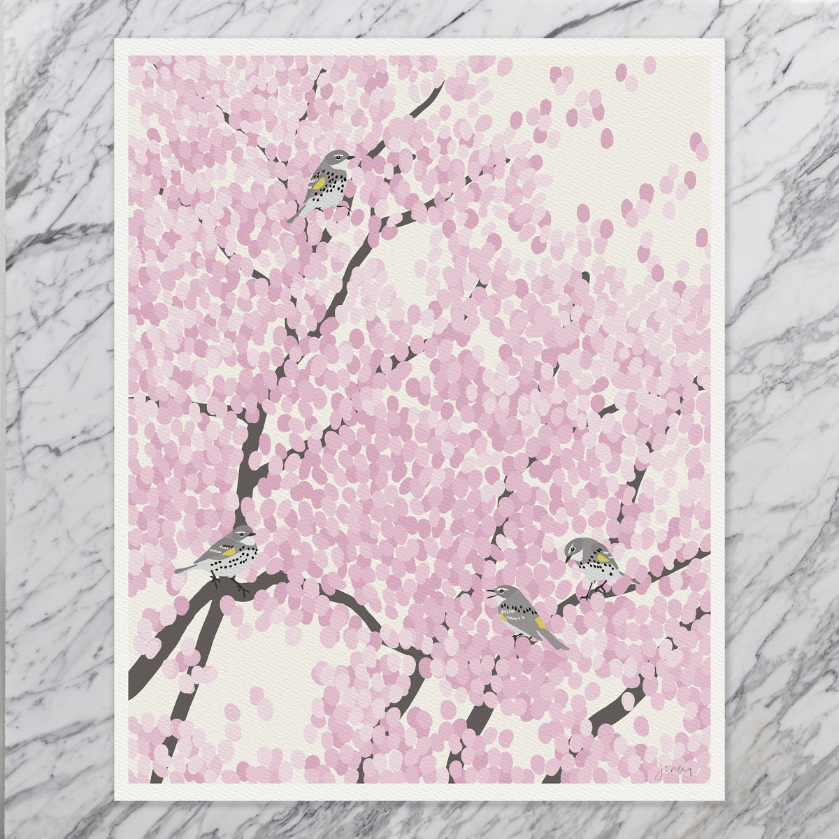 Spring Warblers in Cherry Tree Signed Art Print - 230422