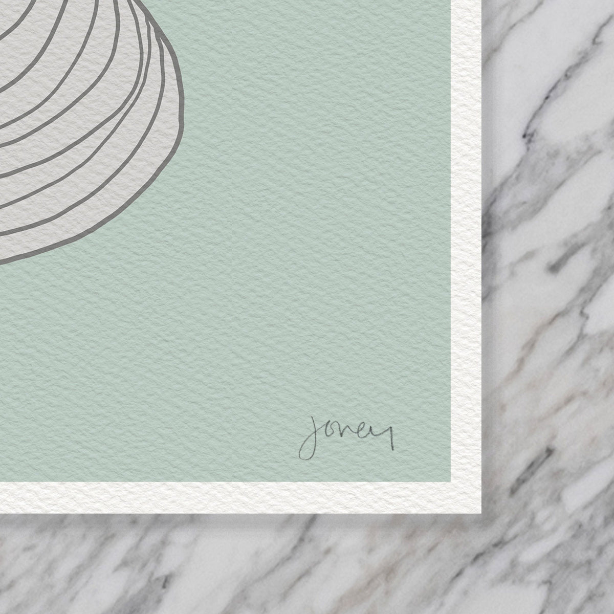 Clam Shells Signed Art Print - 130808