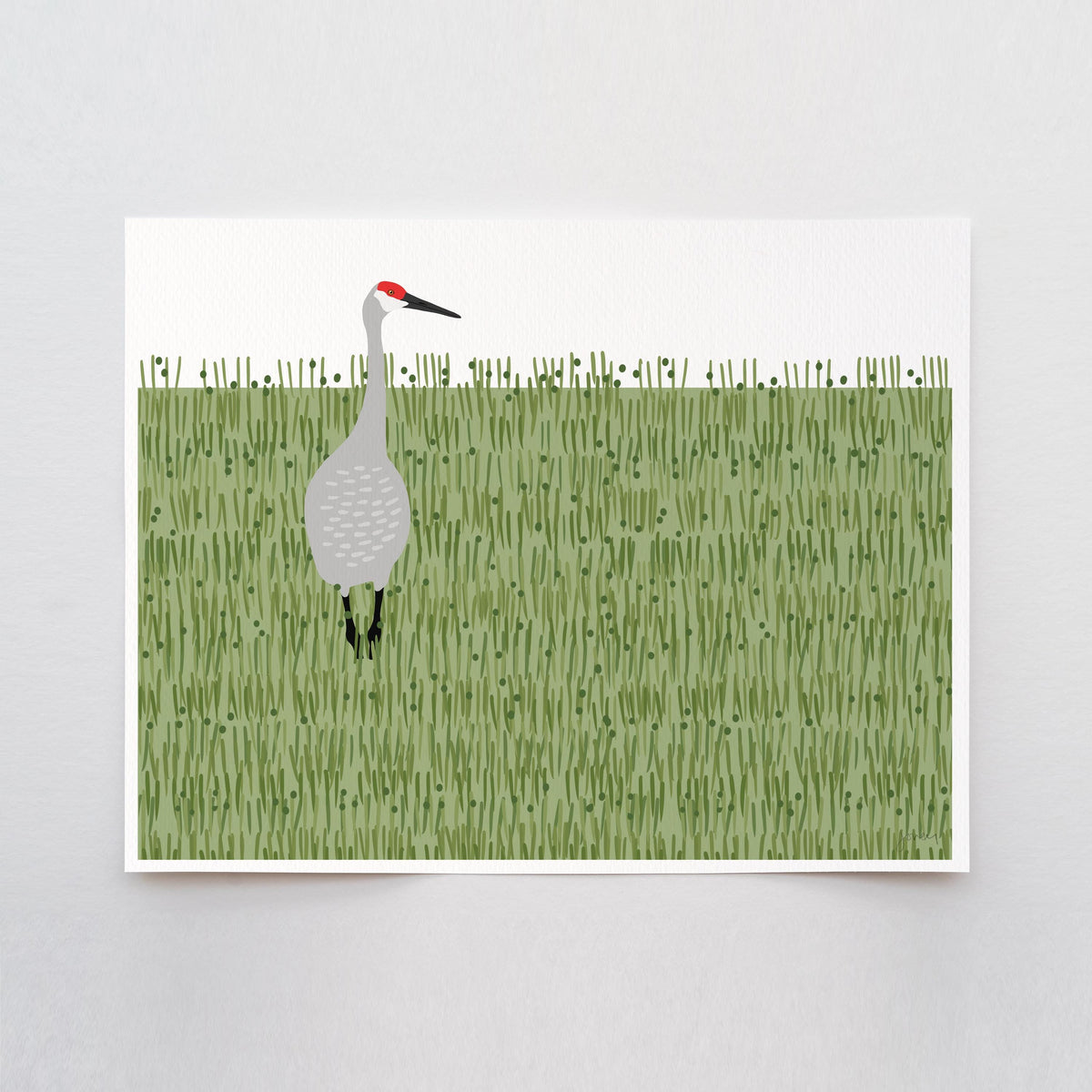 Sandhill Crane Signed Art Print - 241117