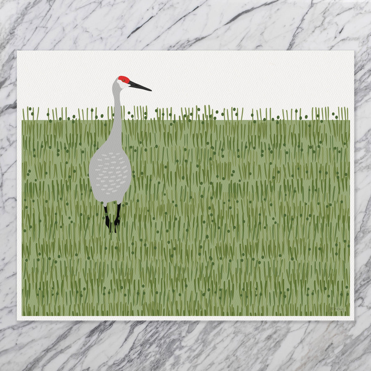 Sandhill Crane Signed Art Print - 241117