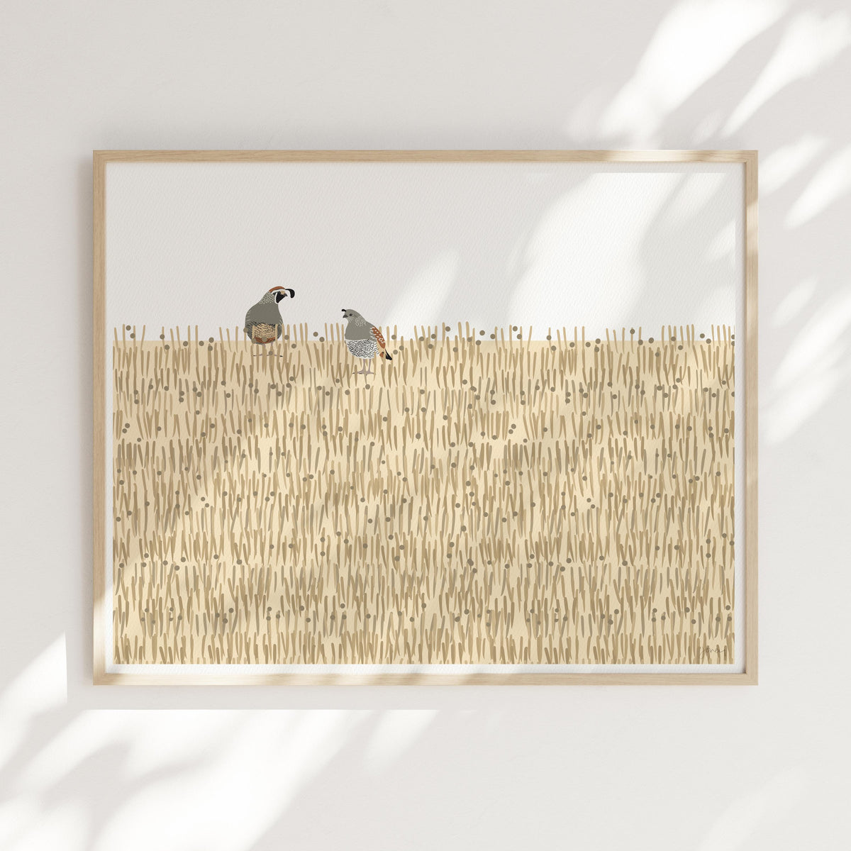California Quail Signed Art Print - 250115