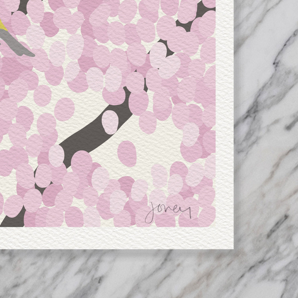 Spring Warblers in Cherry Tree Signed Art Print - 230422