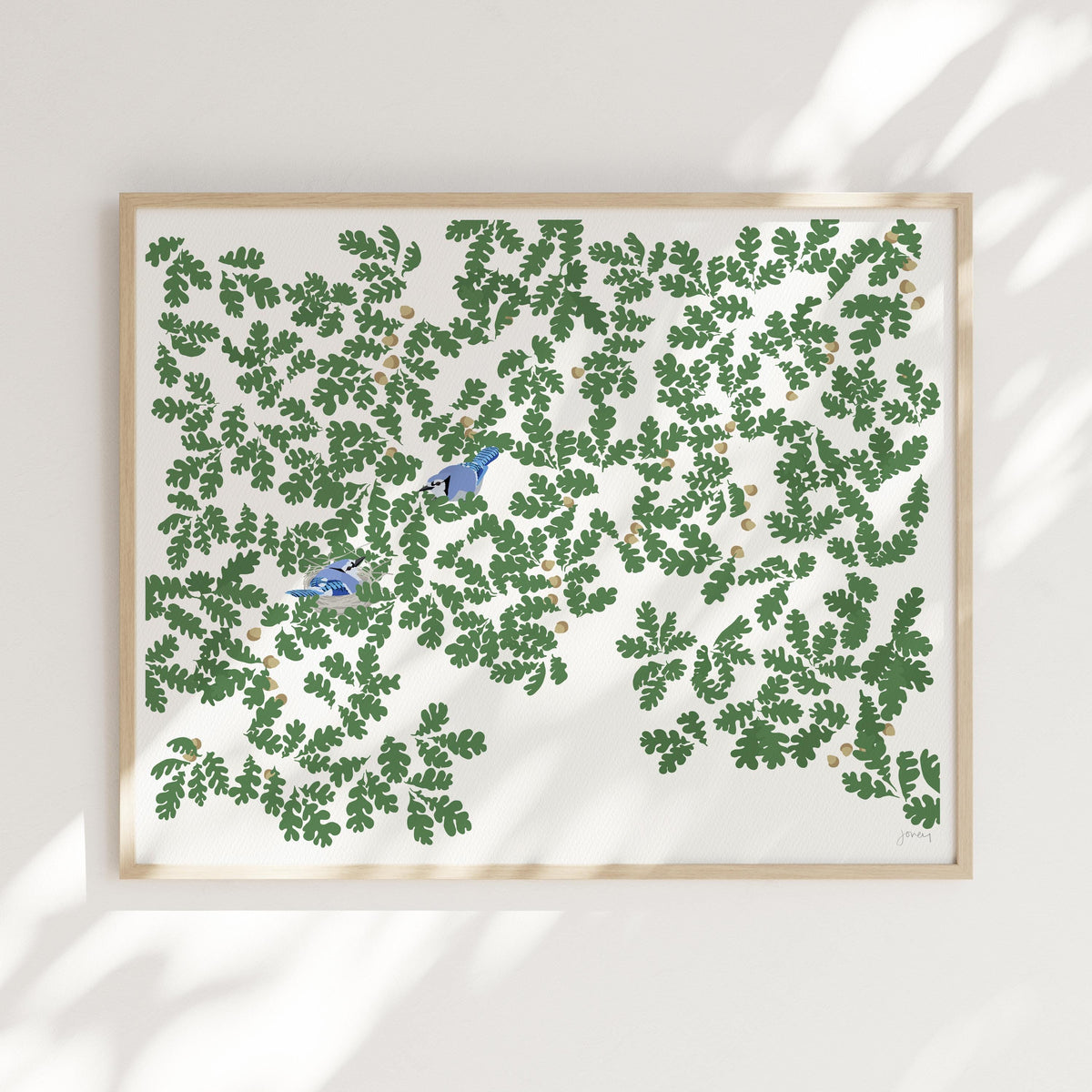 Blue Jays in Oak Leaves Signed Art Print - 240811
