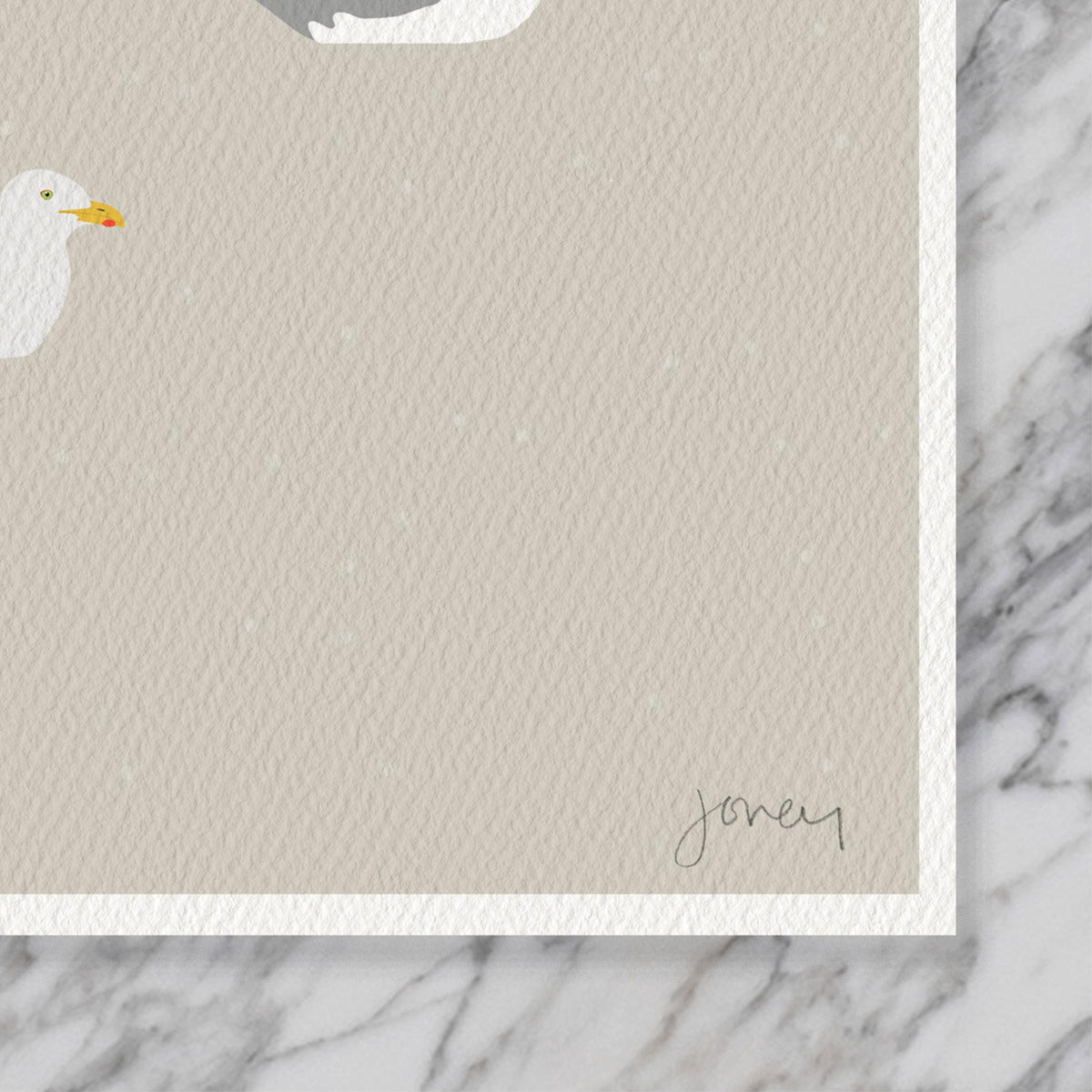 Seagull Signed Art Print – Coastal Wall Art With Solid Maple Frame | Archival Paper