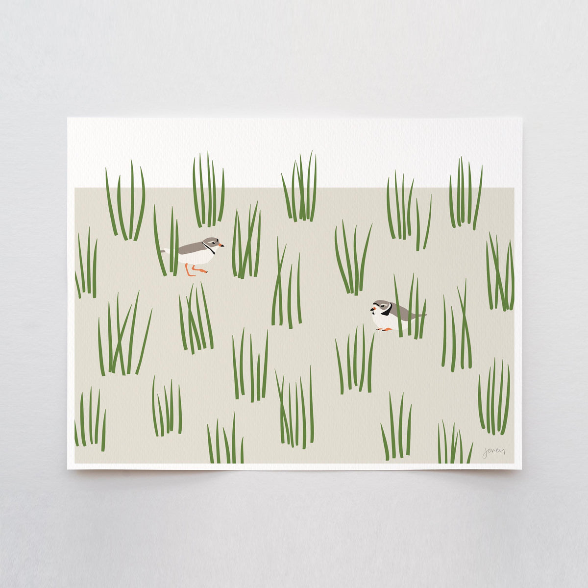 Plovers in Grass Dunes Signed Art Print - 250124