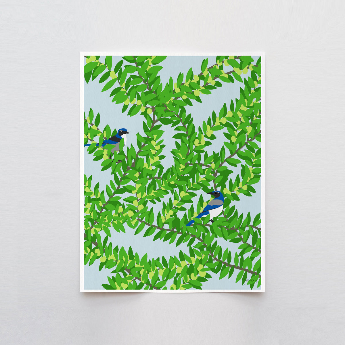 Plum Tree with Blue Jays in a Signed Art Print - 120626