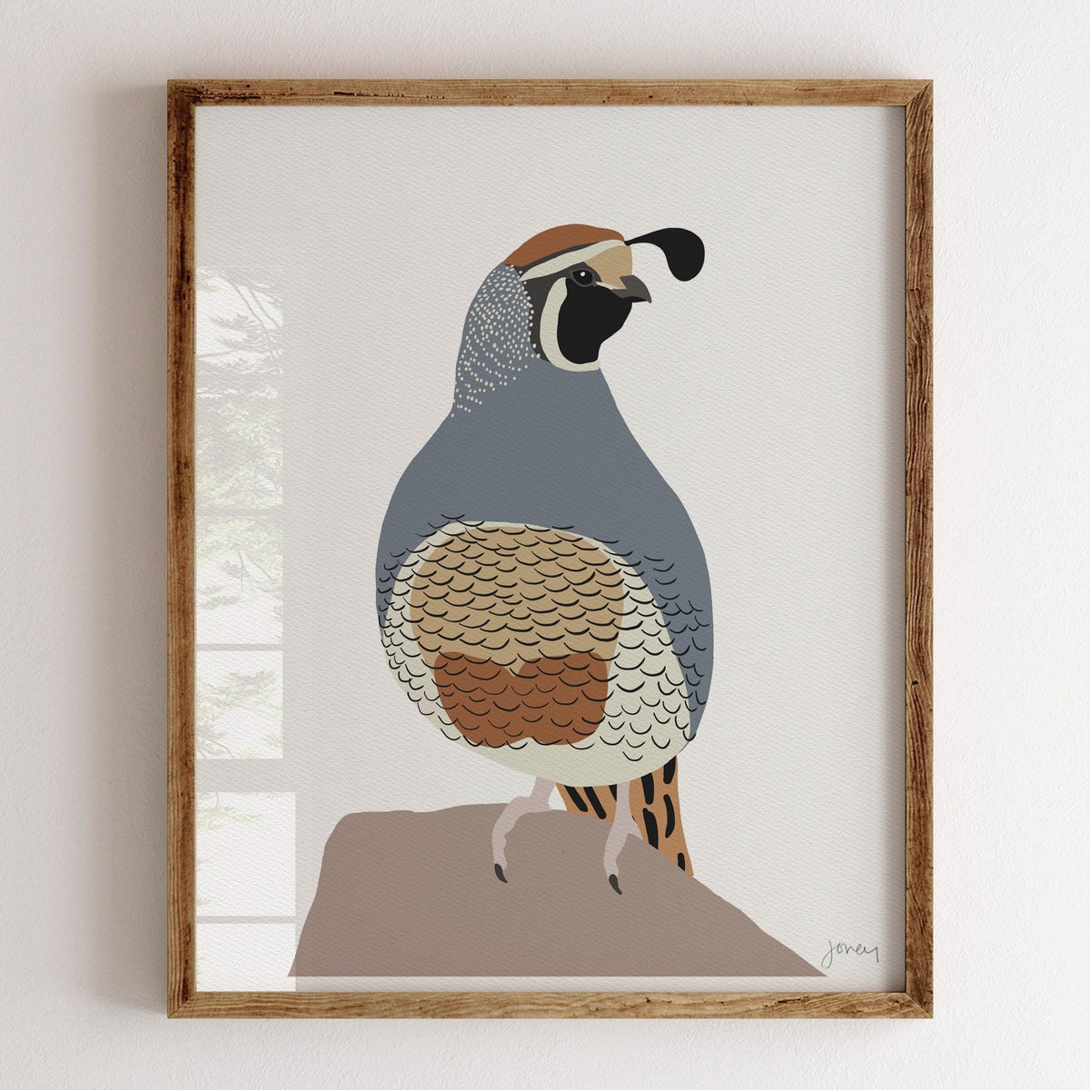 Quail Signed Art Print - 230208