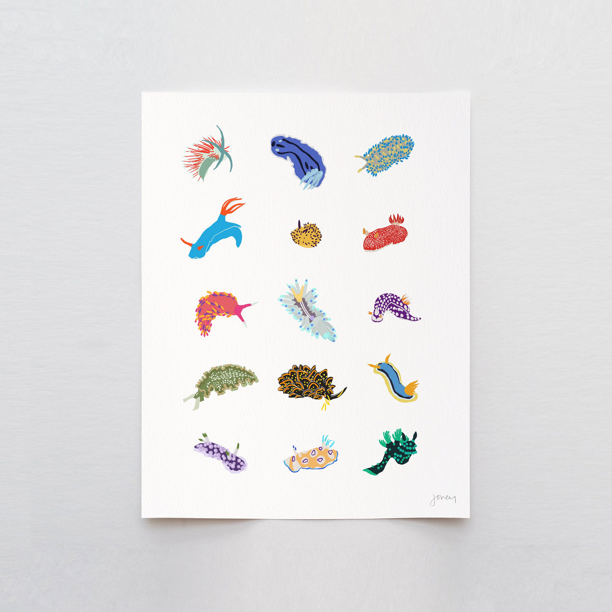 Nudibranch Sea Slugs Signed Art Print - 240302