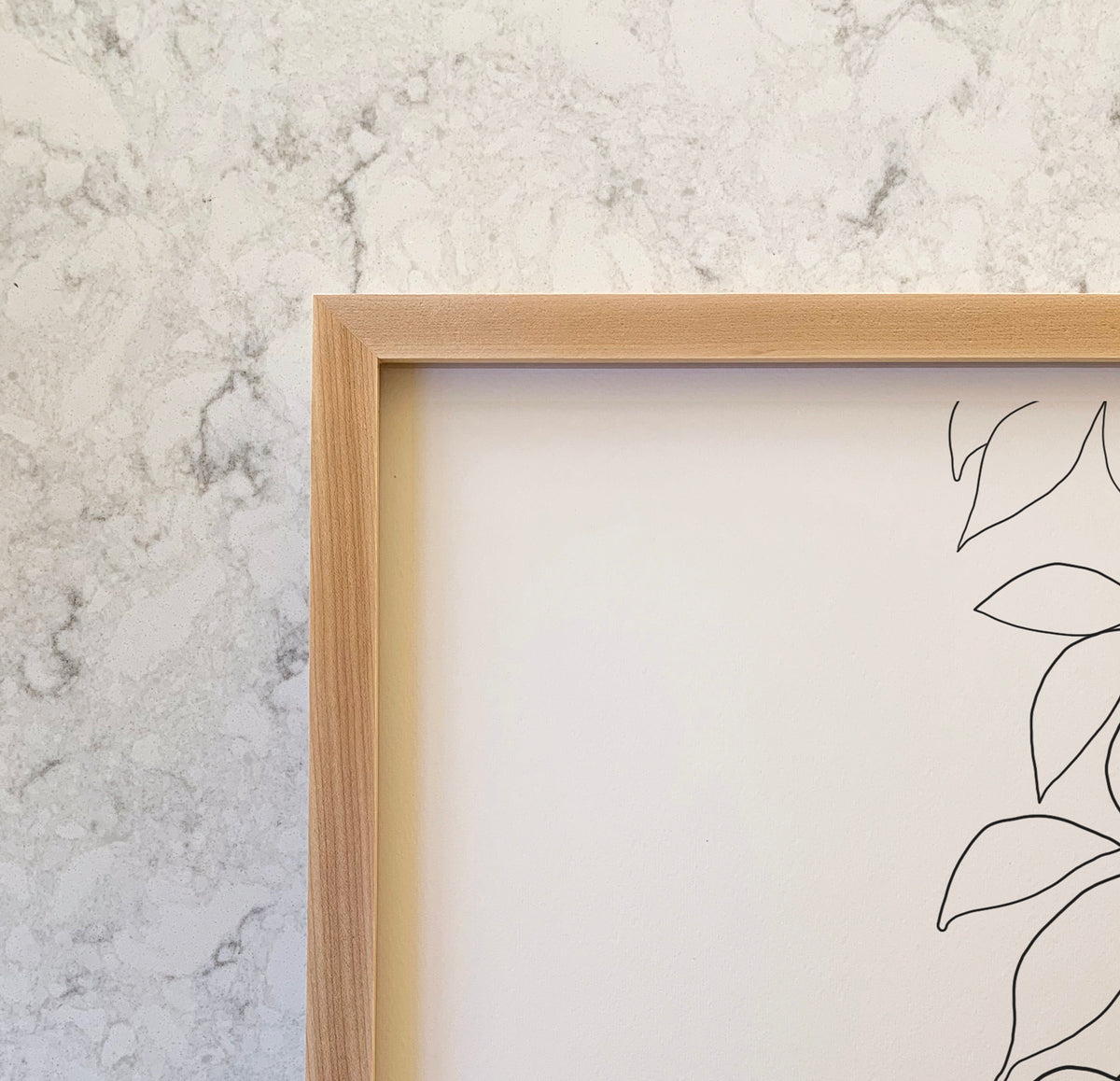 Botanical Line Drawing Signed Art Print - Unframed or Framed -140905