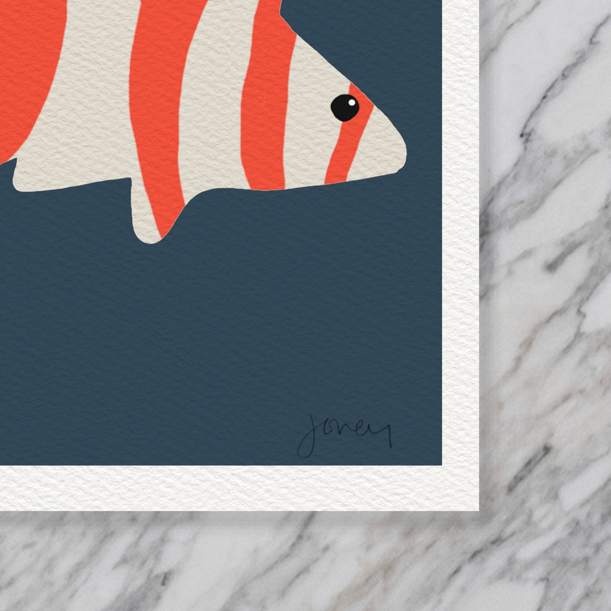 Red Banded Rockfish Signed Art Print - 130114