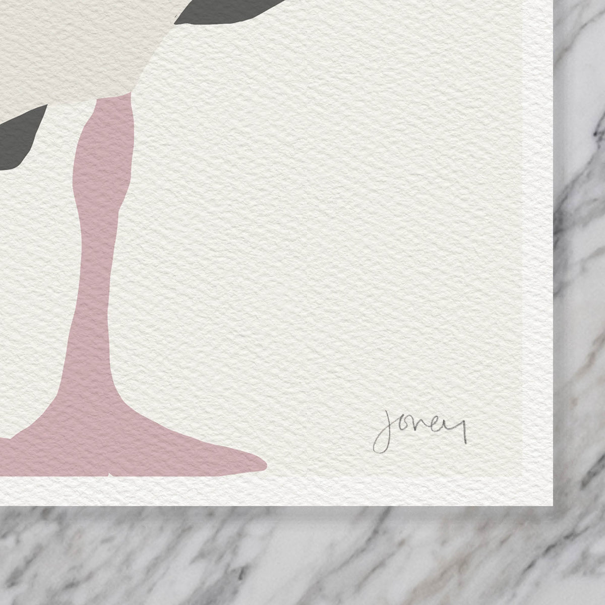 Standing Seagull Signed Art Print - 130806