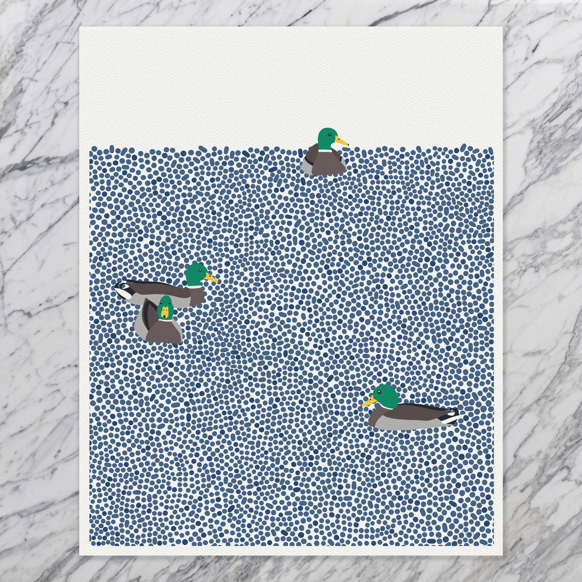 Mallards Swimming Signed Art Print - 231001