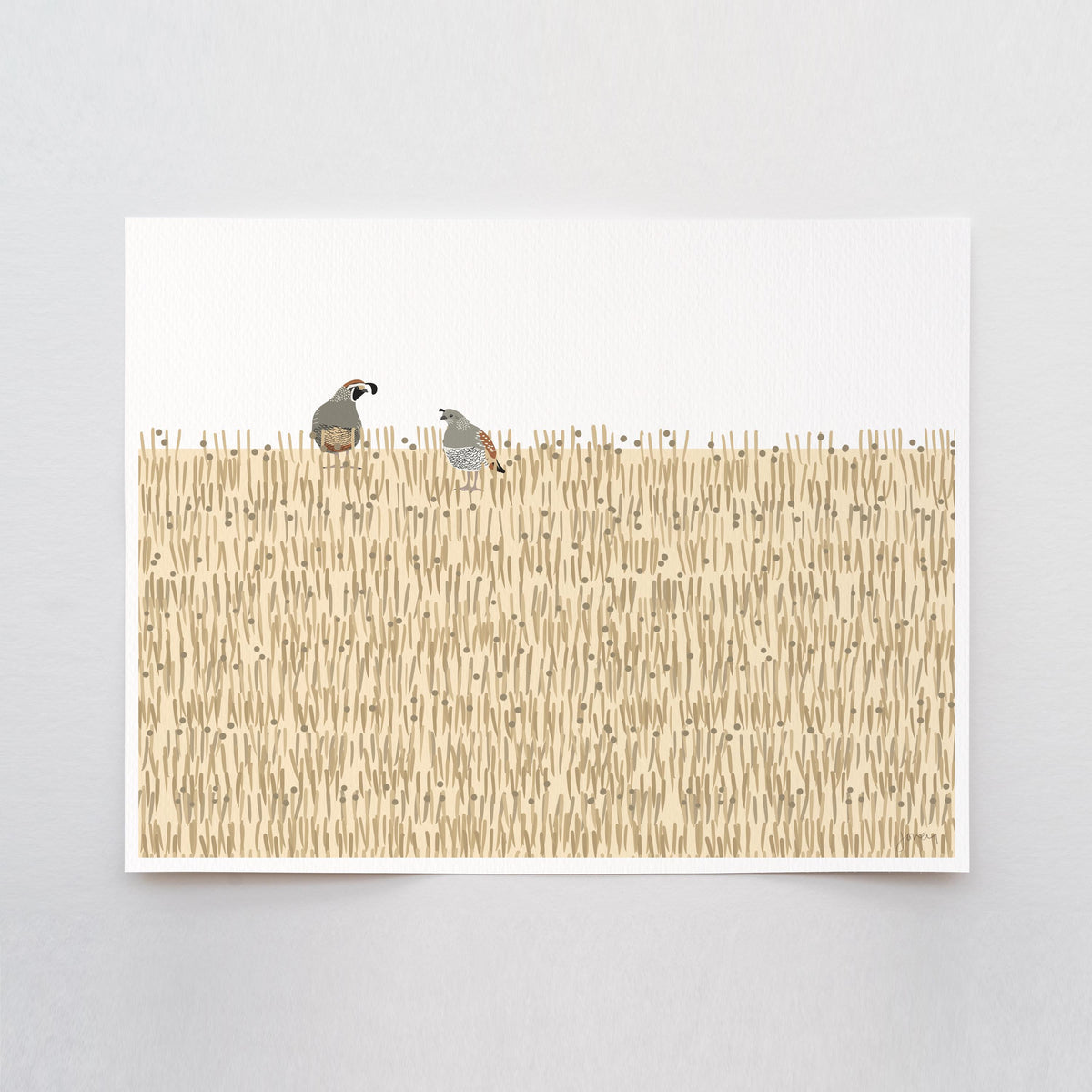 California Quail Signed Art Print - 250115