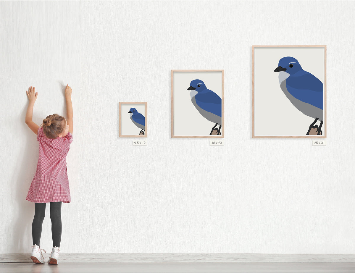 Scrub Jay Signed Art Print - 140910