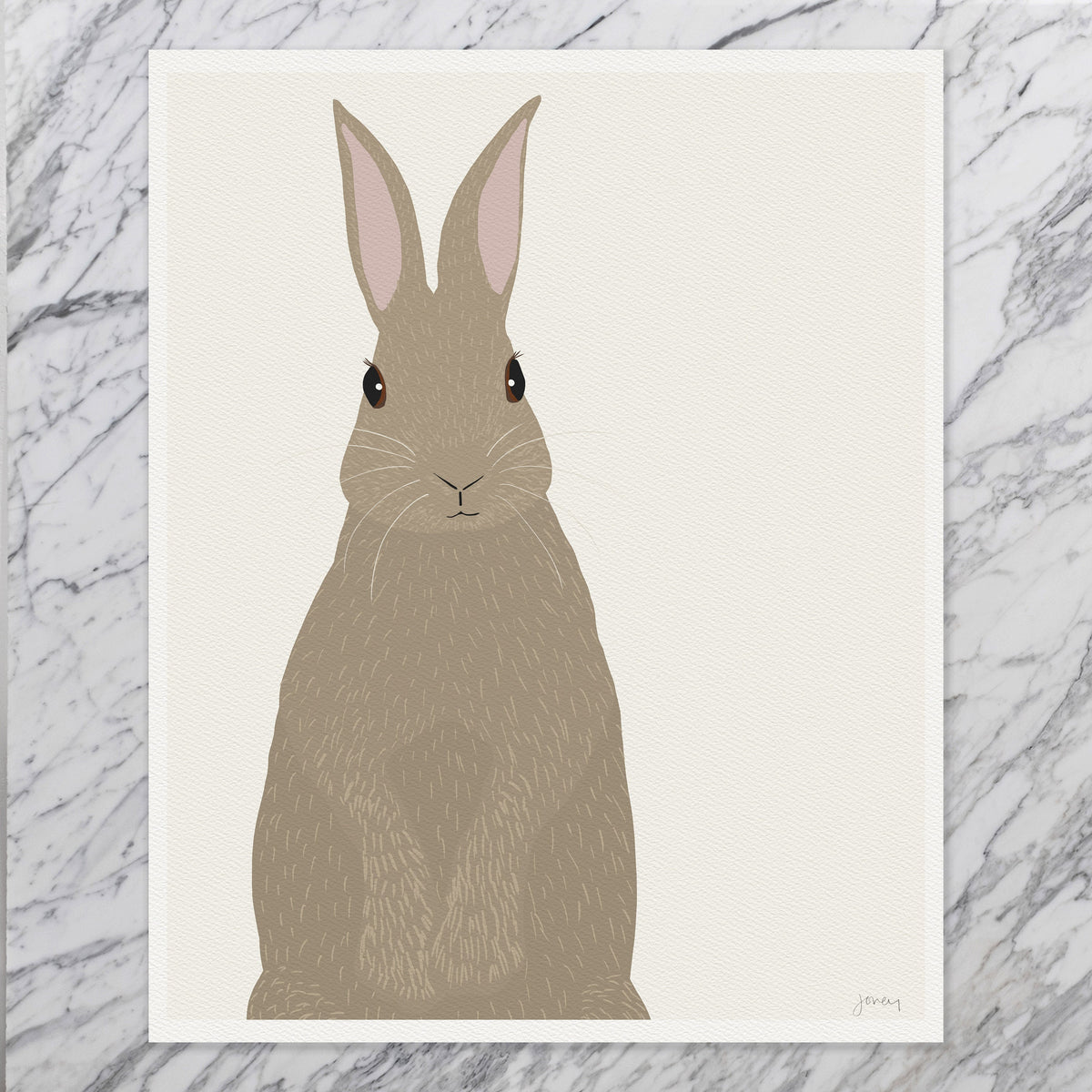 Cottontail Signed Art Print - 160106