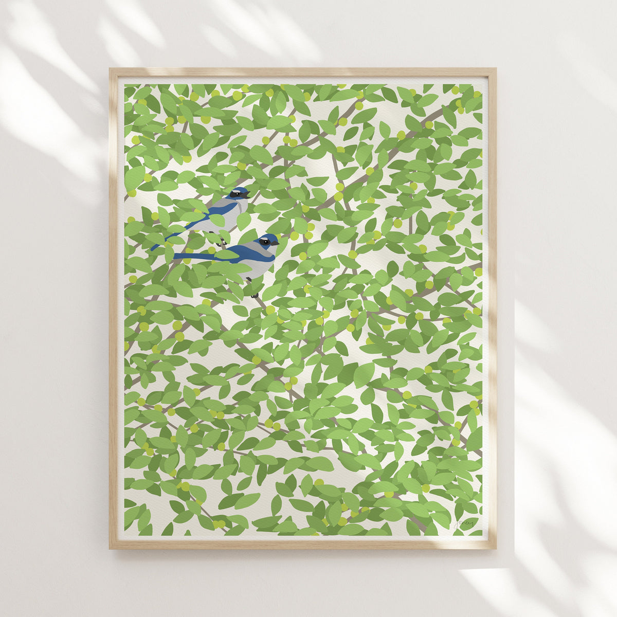 Pair of Blue Jays Signed Art Print - 140501