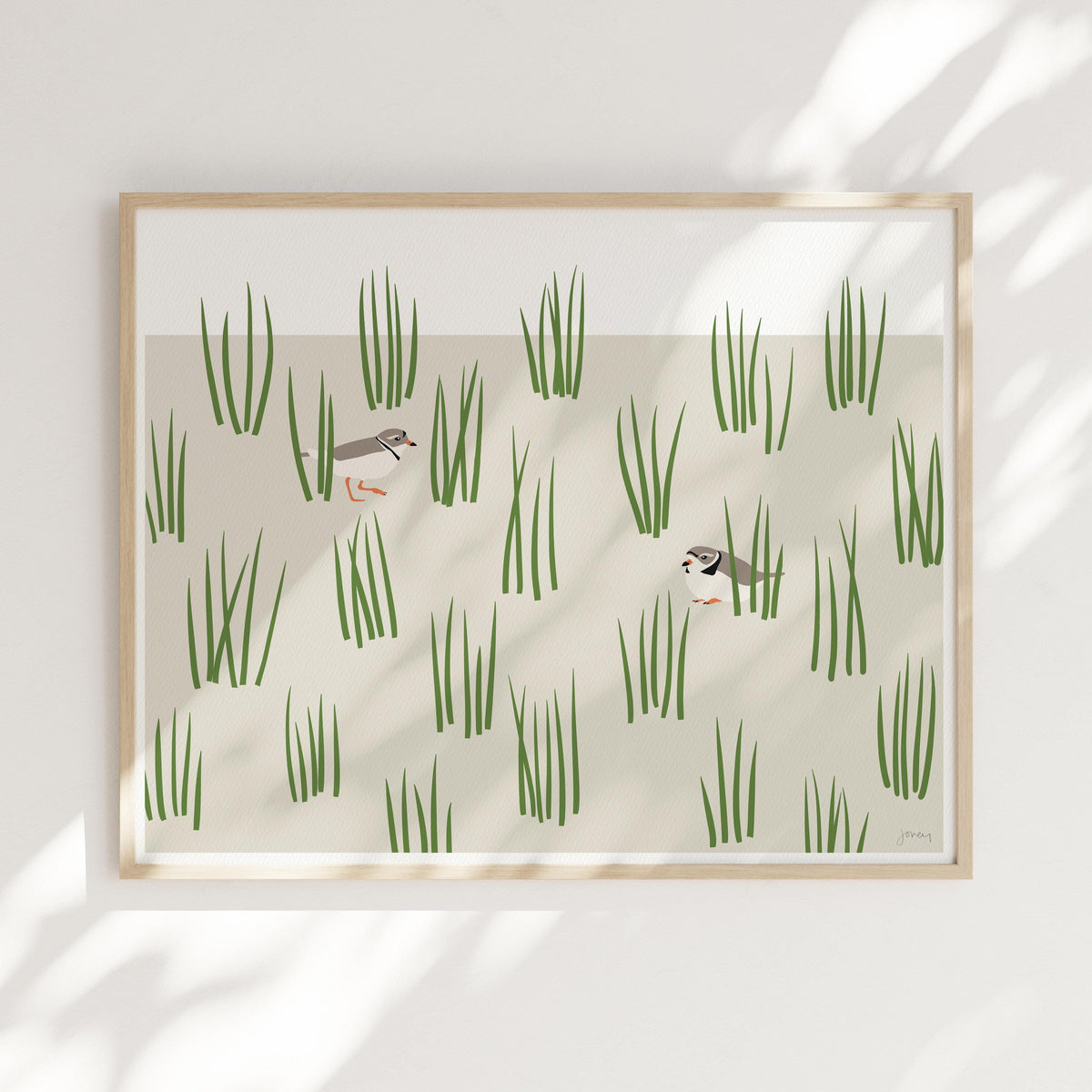 Plovers in Grass Dunes Signed Art Print - 250124