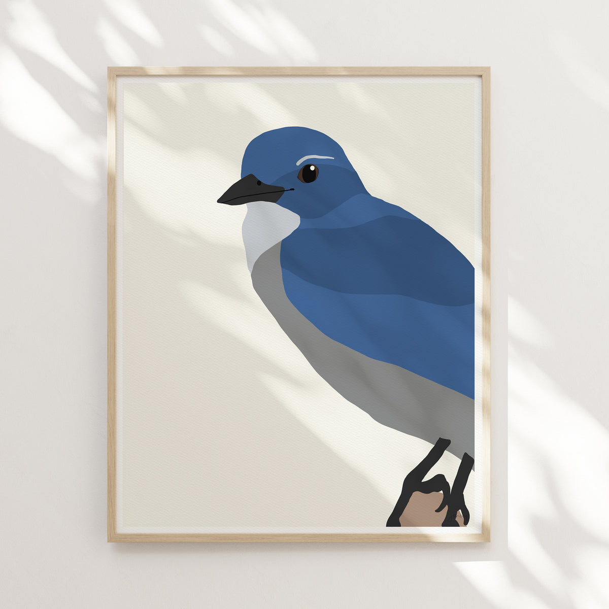 Scrub Jay Signed Art Print - 140910