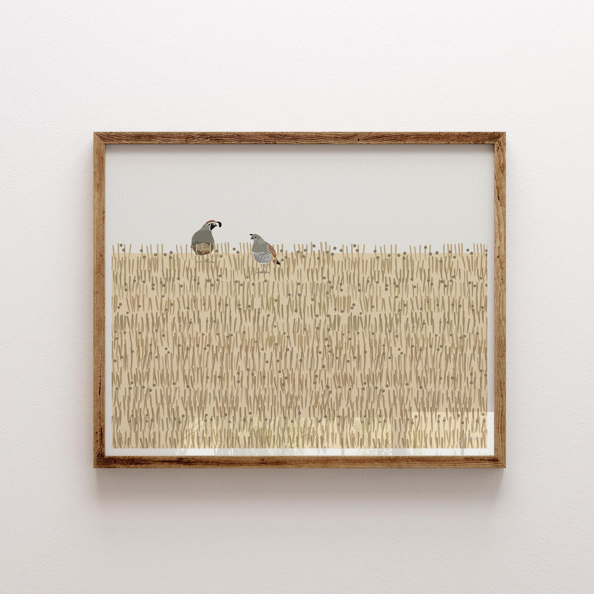 California Quail Signed Art Print - 250115