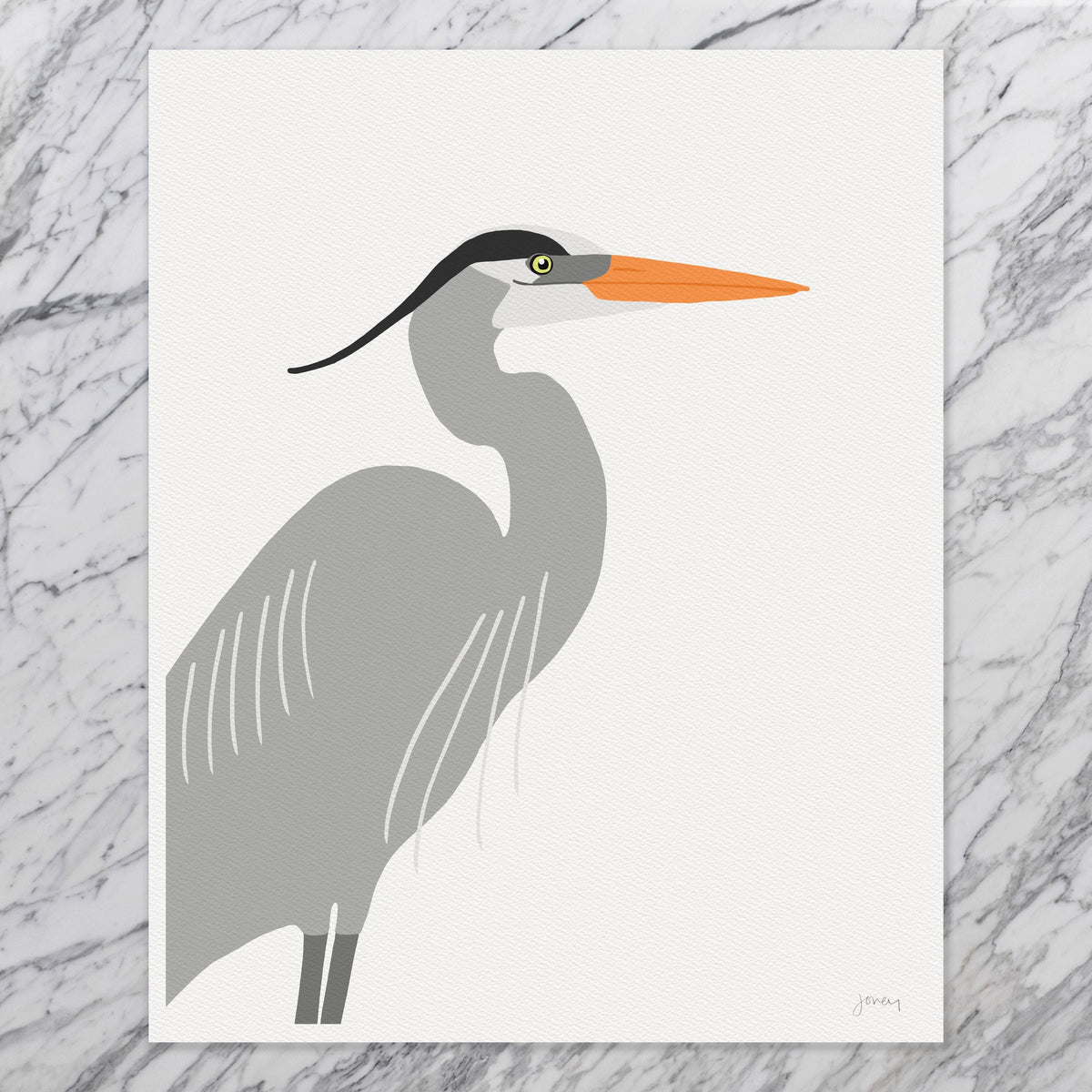 Great Blue Heron Profile Signed Art Print - 250410