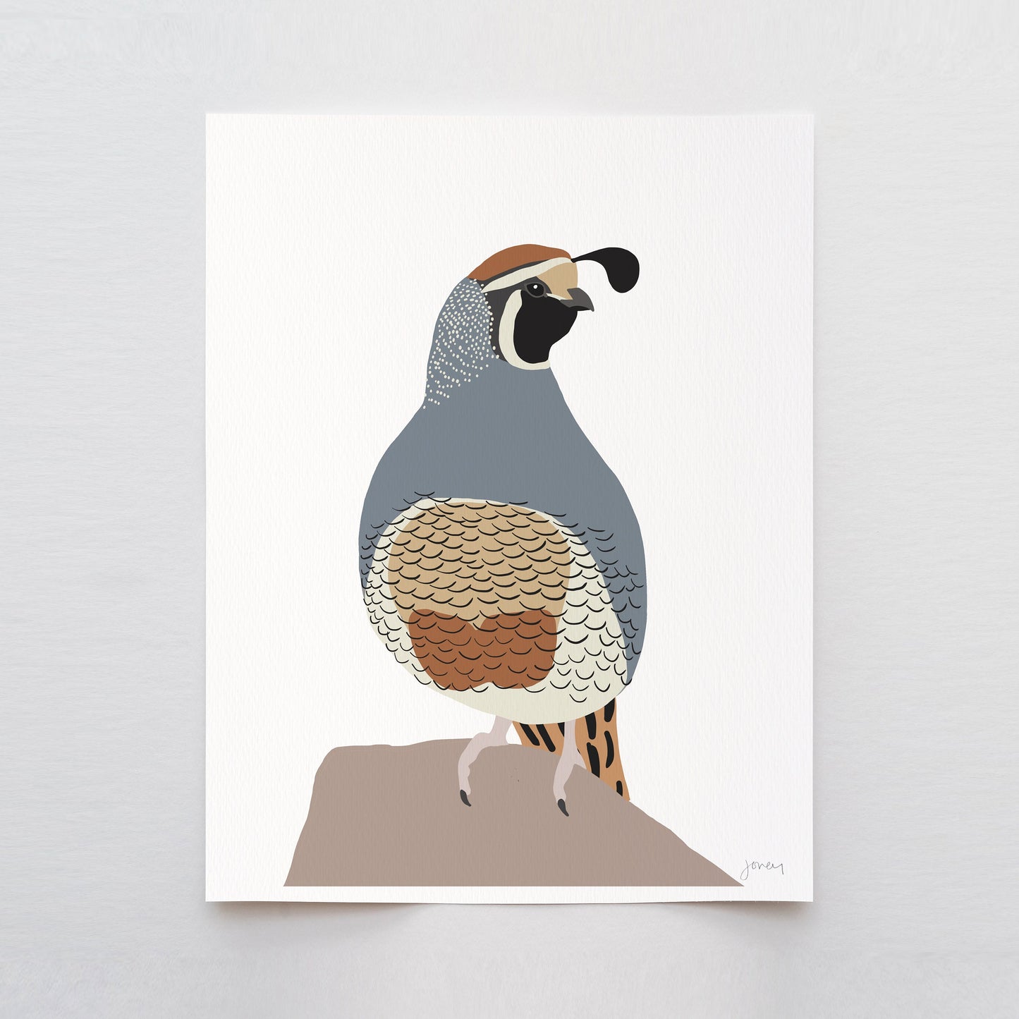Quail Art Print - Unframed or Framed - 230208